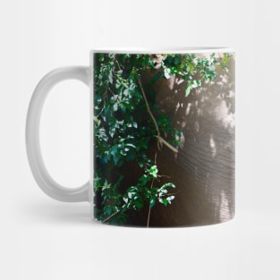 Elephant II / Swiss Artwork Photography Mug